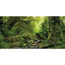 AWERT Tropical Forest Terrarium Background Stream Green Huge Tree Reptile Hab...