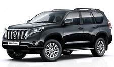 2 x New Gas struts suit Toyota Land Cruiser Prado 150 Series Bonnet 2010 onwards