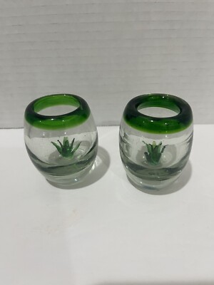 Set of 2 Handblown MAREY Tequila Clear Shot Glasses w/ Green Glass Cactus Inside