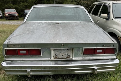 1977 77 Chevy Impala Original License Plate Fuel Gas Door Trim Moulding 2 Piece - Picture 17 of 18
