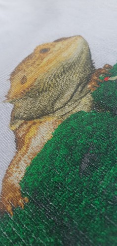 SS20 Supreme Lézard T-Shirt Taille M - Photo 5 sur 9