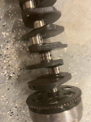 ジンジャー s-l400.jpg