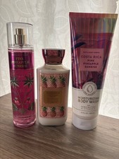 Bath And Bodywork s Costa Rica Pink Pineapple Moisturizing Wash, Lotion, Mist