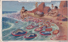 PALMIN OIL (Germany) 1 card from Series 69 Life of polyps #3 Sea Anemones