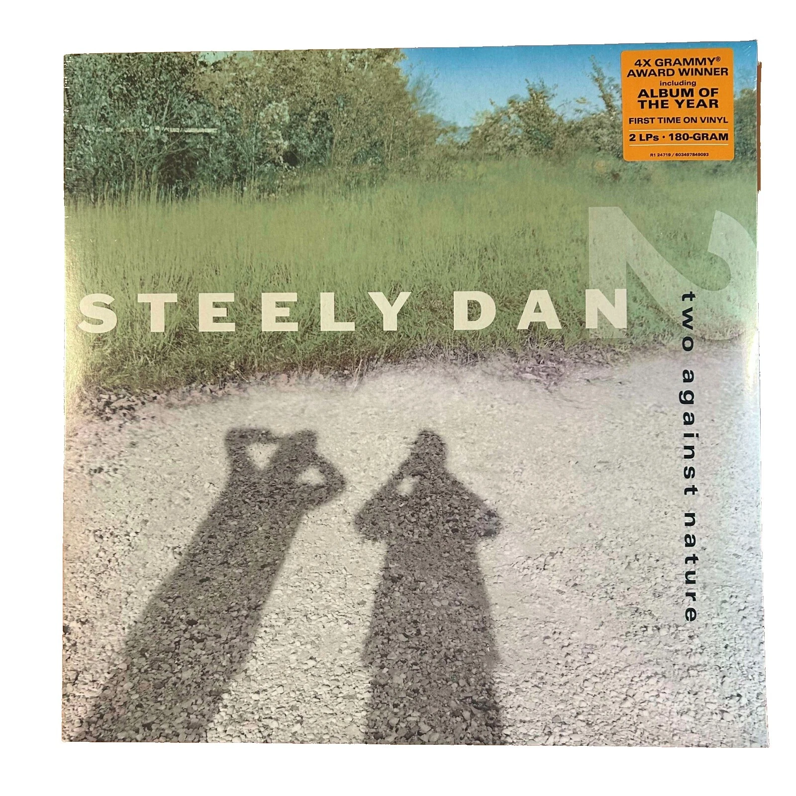 33 RPM Vinyl Records Steely Dan