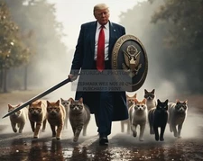 PRESIDENT DONALD TRUMP DEFENDING THE CATS SWORD & SHIELD PATRIOTIC 8X10 AI PHOTO