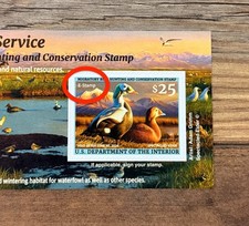 WTDstamps - #RW92A / RW92B 2025 - Sello Federal de Pato -- Versión de Cazador "E-Stamp"
