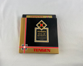 Gauntlet &ndash; NES CIB (Tengen) &ndash; Very Good Condition