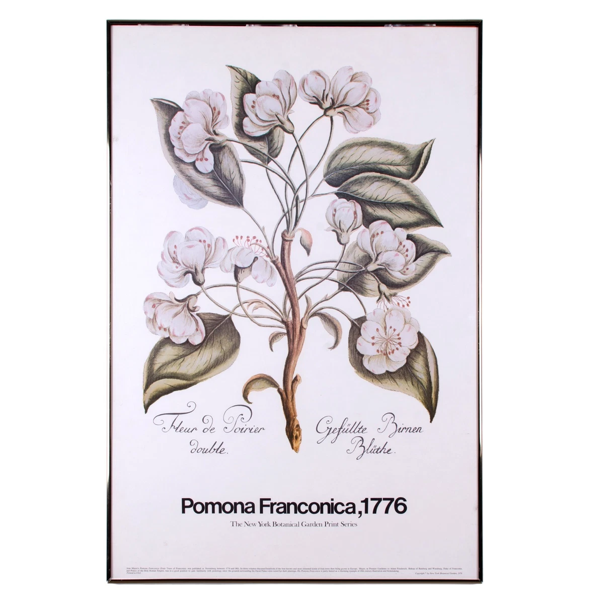 Curated visual reference: Error Botanical Garden Print Reference: Ny Botanical Garden Prints