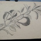 Picture 4 of 10
