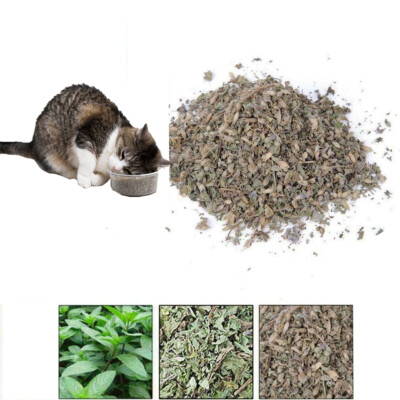 extra strong catnip