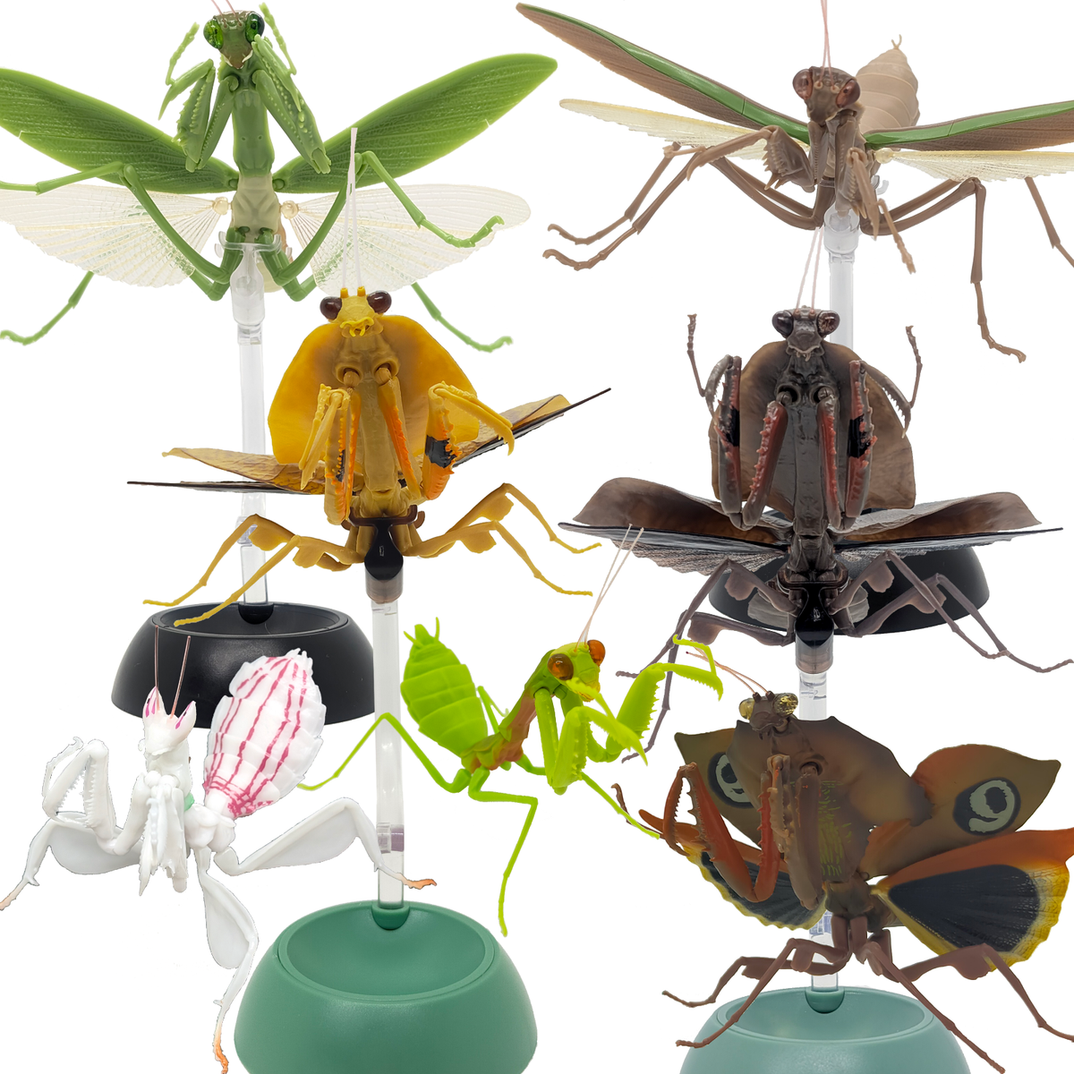 Bandai Gashapon Mantis Figure 4