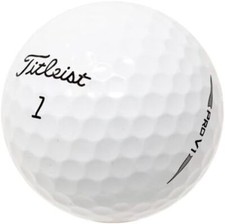 48 Titleist Pro V1 2019 Mint Quality Used Golf Balls AAAAA FREE SHIP 