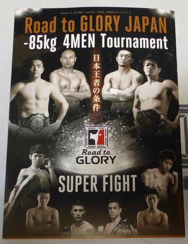 Jerome Le Banner Peter Aerts +6 Signed Glory 8 Event Program PSA/DNA COA Auto'd - Picture 12 of 24