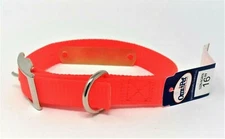 102N 16 IN SINGLE PLY NYLON COLLAR ORANGE FREE BRASS NAMEPLATE SMALL DOG COLLAR