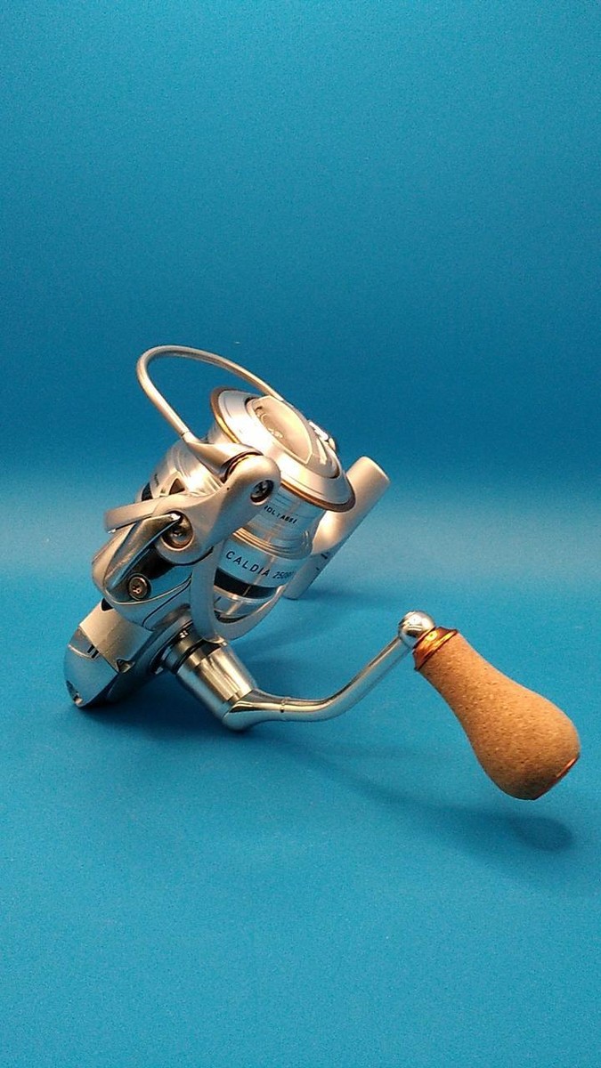 DAIWA 11CALDIA 2508 リール ダイワ(DAIWA) 11カルディア 2508 ☆特別割引品 14カルディア