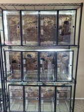 10 Gallon L VERTICAL Aquarium Gecko/Arboreal Conversion Kit (tank not included)