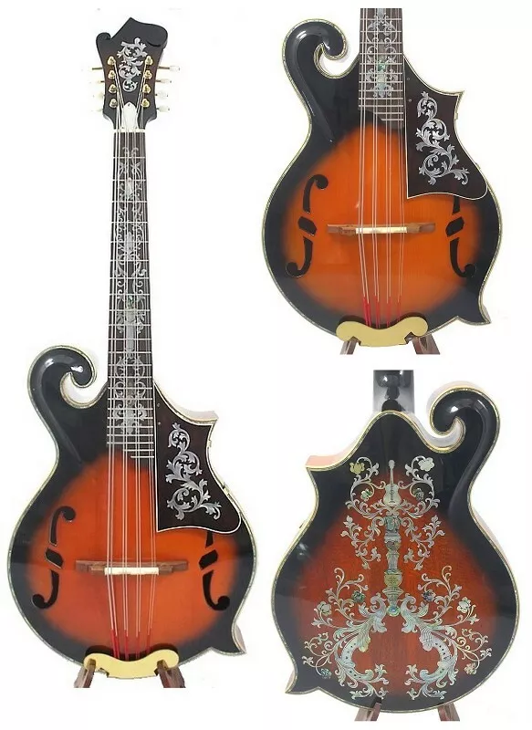 F5 style Solid Curly Maple wood and Spruce top Mandocello