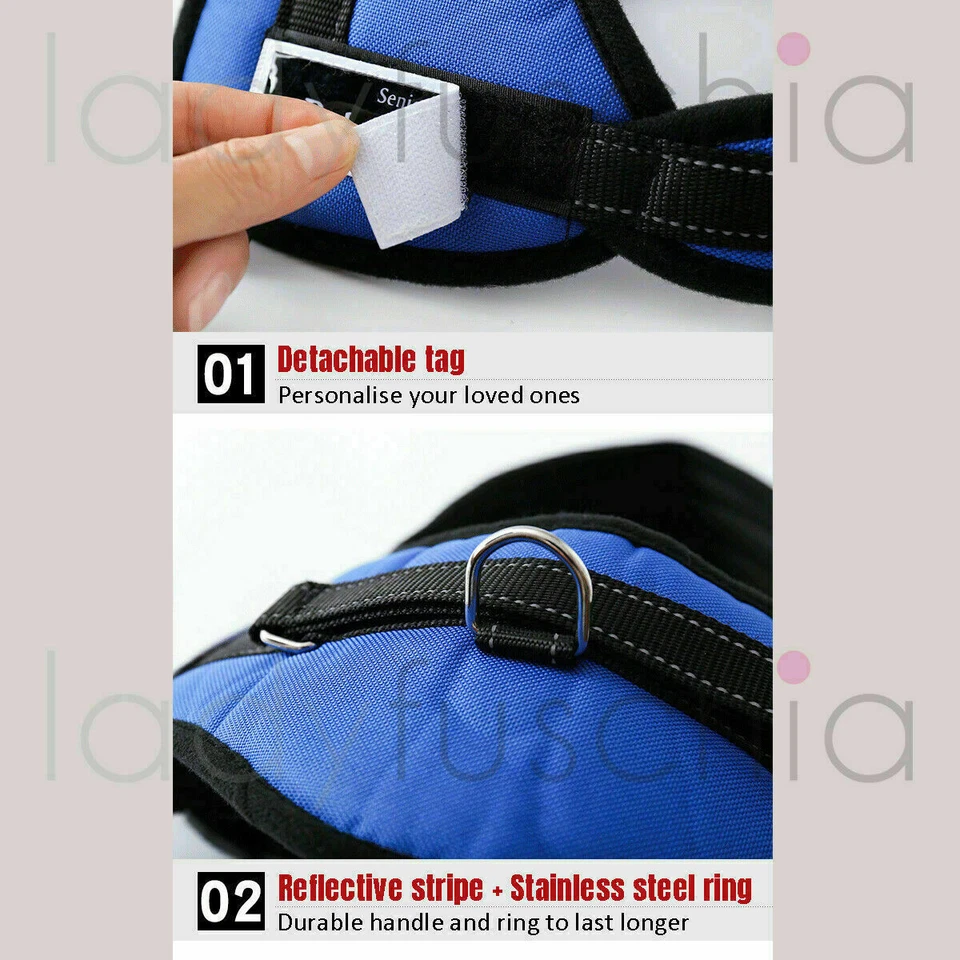 No-pull Dog Harness Outdoor Adventure Pet Vest Padded Handle- Small -Extra Large - image 4 of 4