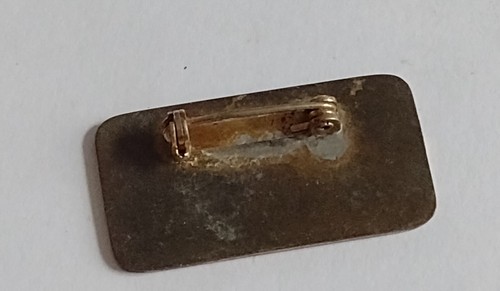 Broche Insignia Sociedad Escala G Memorabilia Ferroviaria 20mmX38mm De Colección - Imagen 14 de 18