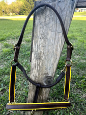 Leaders 3/4 Brown Leather Halter with Hunter Green Leather Piping for Horse
