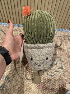 Jellycat Cactus | eBay