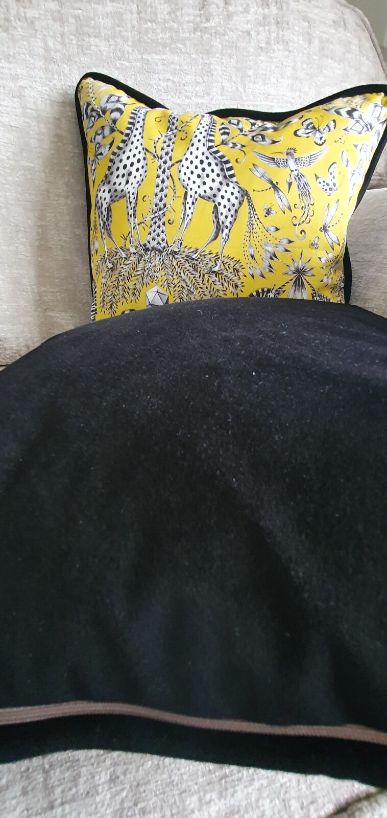 Picture 3 of 5