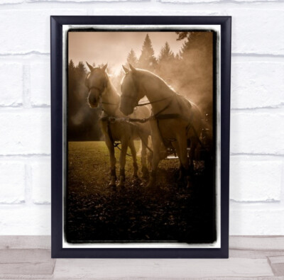 Duel Slo Vintage Two Horses In Sunset Wall Art Print