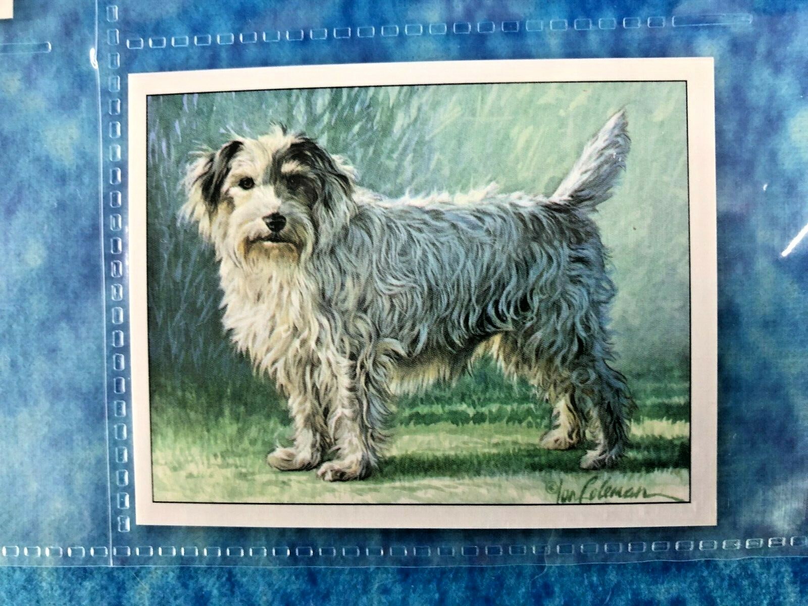 1999 Imperial Dog Collection Jack Russell Terriers A Series of 6 Trade Cards - Picture 6 of 7