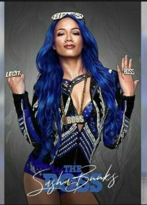 525206 SASHA BANKS Wrestling 36x24 WALL PRINT POSTER