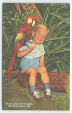 Postcard The Parrot Jungle Red Road Miami Florida Small Boy with Scarlet Macaw