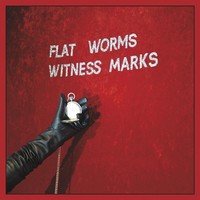 Flat Worms: Witness Marks - 375 Media - (Musik-Cassetten / Musik)