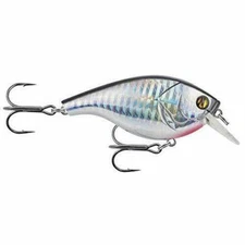 Matzuo 3" Fishing Lure 3/4 Oz Furiko Square Bill Crank Bait Silver Black Back