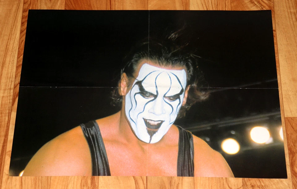 Póster vintage de lucha libre Kevin Nash/Sting WWF WWE Foto 2 de 4