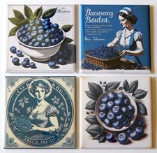 Blueberries FRIDGE MAGNET Set sign woman "style B"