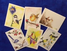 Set of 6 Original Art Bird Notecards, Handpainted Notecrds, Bird Greeting Cards