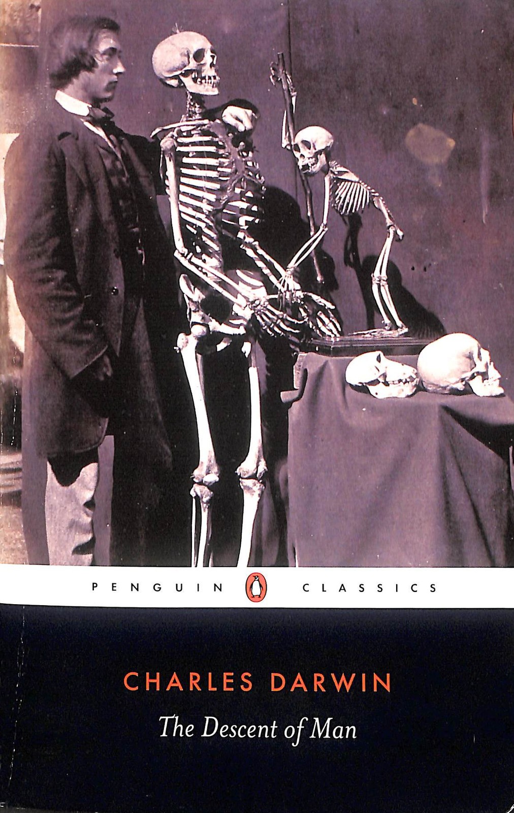 The Descent of Man: Selection in Relation to Sex (Penguin Classics)