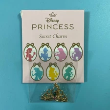 Aladdin Jasmine disney secret charm jasmine