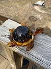 Vintage Murano Glass Italian Hand-Blown Amber Sea Turtle Figurine/Paperweight