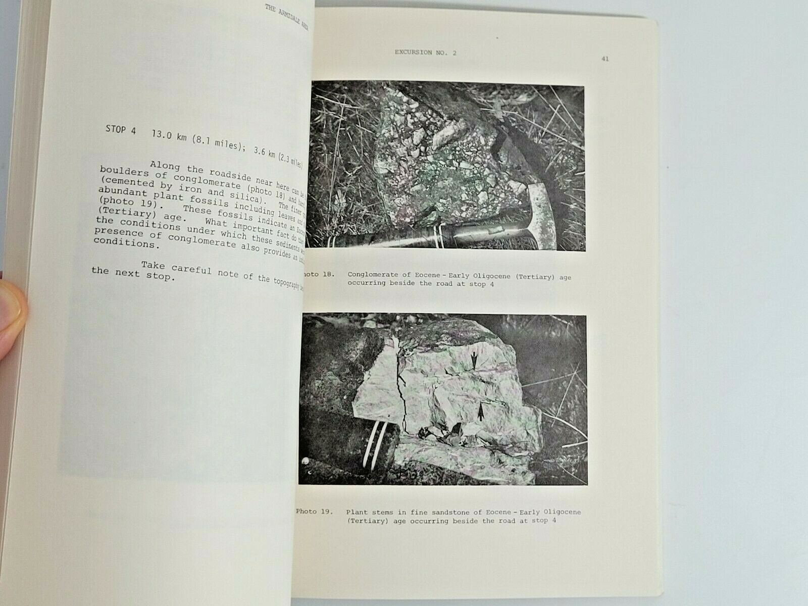 Picture 4 of 8