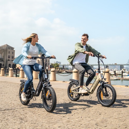 20 Zoll ENGWE L20 3.0 Pro Faltung Elektrofahrrad 100Nm Fahrrad City EBike 25KM/H - Bild 12 von 13