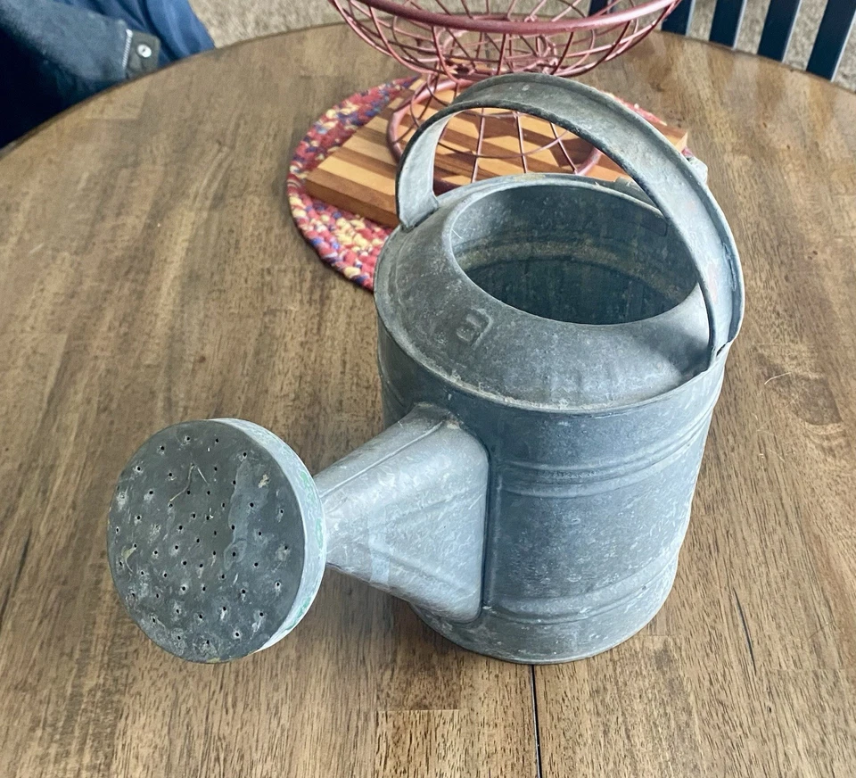 Regadera vintage de acero galvanizado de 8 cuartos Foto 2 de 4