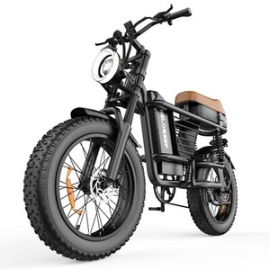 20'' Fat Tires 1500W Peak Dirt bike E-Mountain bike 48V 15.6A for Adults