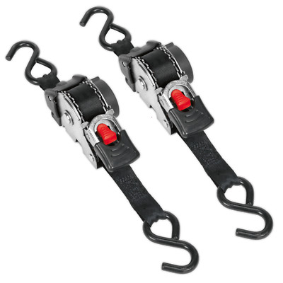 2 Stück x Sealey ATD25301 Auto Retract Ratsche Spanngurte 25 mm x 3 Meter