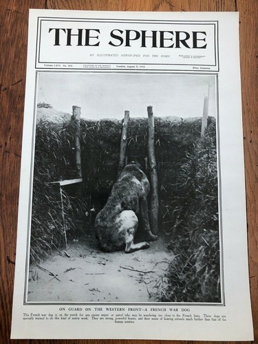ww1 full page print ! on guard on the western front - a french war dog !