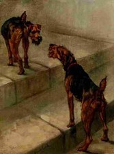 A4 Foto Earl Maud 1864 1943 The Power Dog 1910 Welsh Terrier Druck Plakat