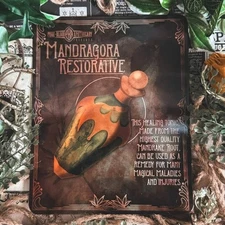 Wizarding Trunk Harry Potter Vintage Mandragora Restorative Potion Tin Sign NEW