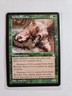 Spike Breeder - Stronghold - LP - MTG Magic - Rare - Green Creature
