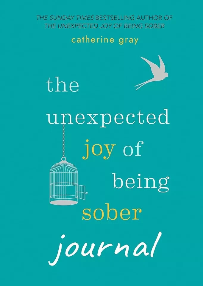 B&Q - The Unexpected Joy Of Being Sober Journal - Image 2