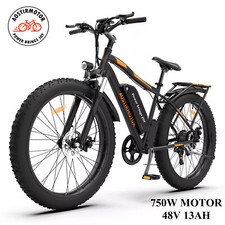 E-bike 26" 750W 48V Electric Bike Mountain Bicycle Fat Tire 28mph for Adults